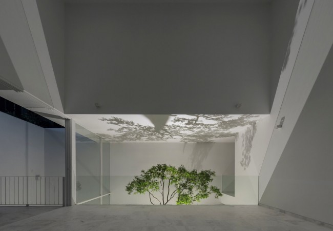 project_house_peshera23.jpg
