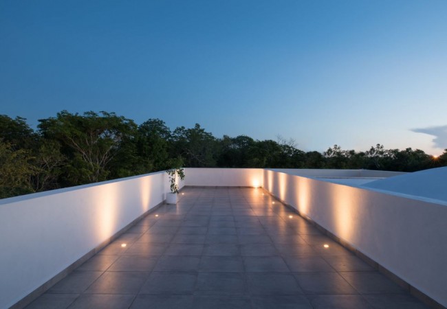 project_house_fromground_10.jpg