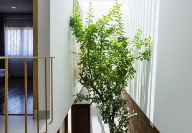 project_house_7x7_11.jpg