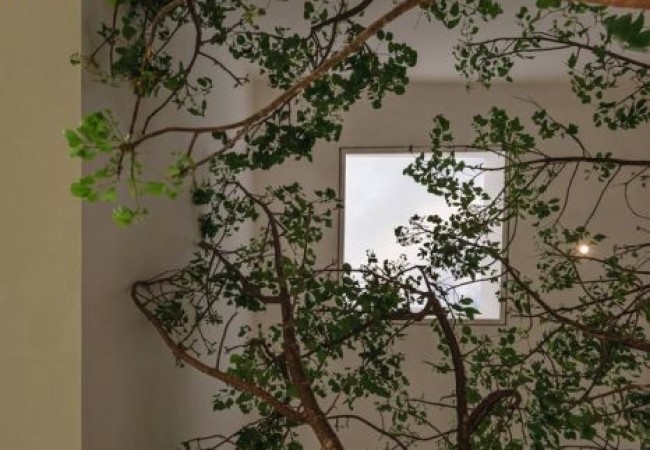 project_house_nano_20.jpg