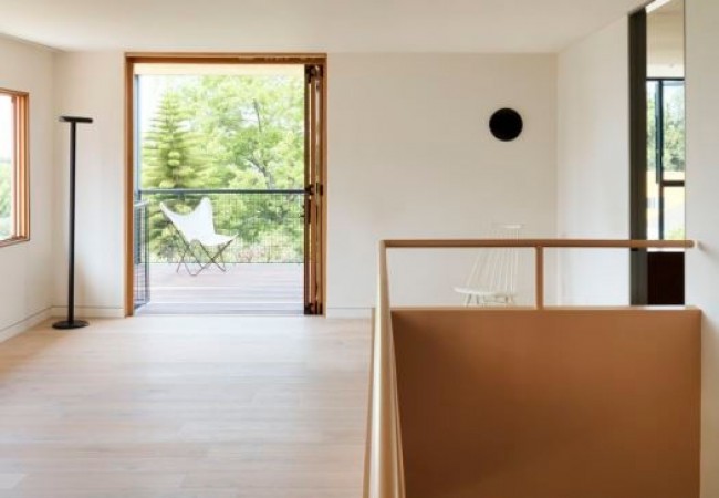 project_house_fleushman_03.jpg