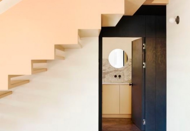 project_house_fleushman_16.jpg