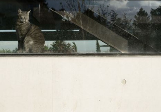 project_house_chipster_12.jpg