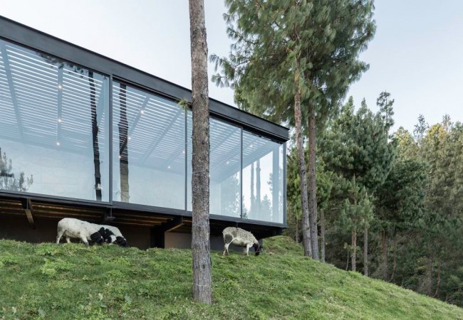 project_house_onplato_02.jpg