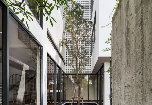 project_house_Y_10.jpg