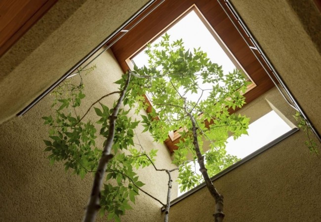project_house_dom_soei_17.jpg