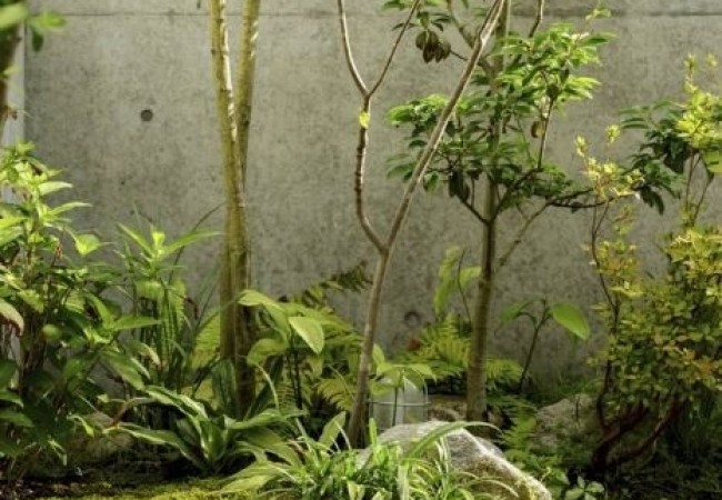project_house_dom_soei_18.jpg