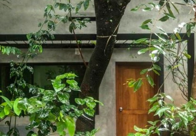 project_house_Maysam_21.jpg