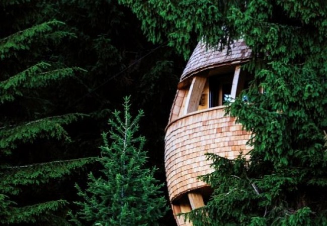 project_house_Pinia_12.jpg