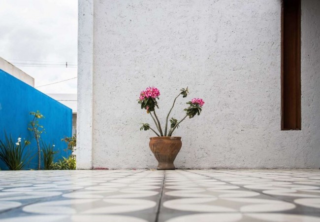 project_house_COBONO_14.jpg