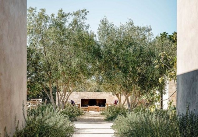Project-house-domTehama_03.jpg