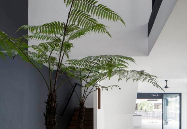 Project-house-Six_06.jpg