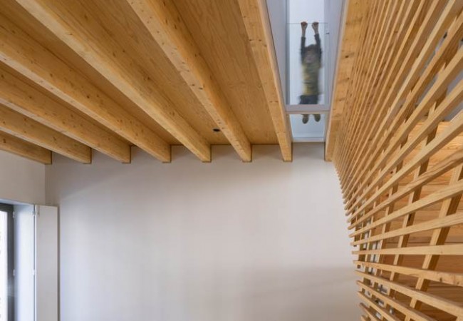 Project-house-doms_03.jpg