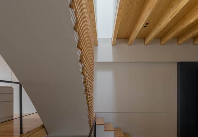Project-house-doms_19.jpg