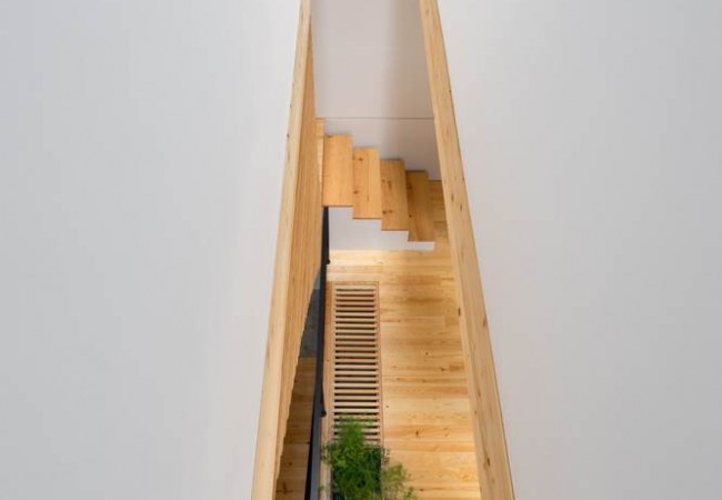 Project-house-doms_30.jpg