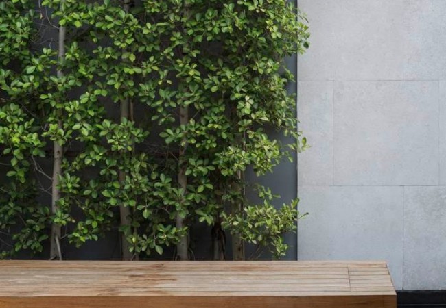 Project-house-regzen_27.jpg