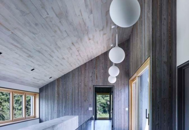 Project-house-pereylok20.jpg