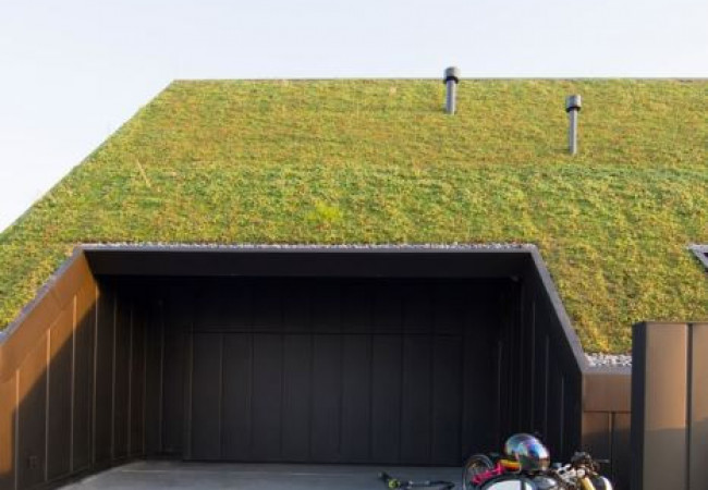 HouseProject_bihind_09.jpg