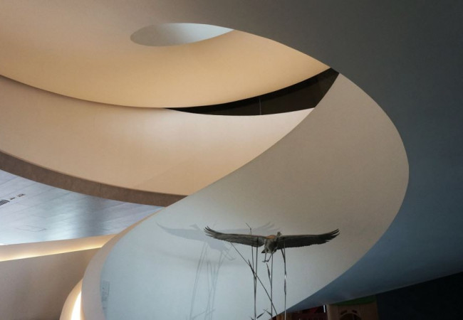 HouseProject_hi_13.jpg