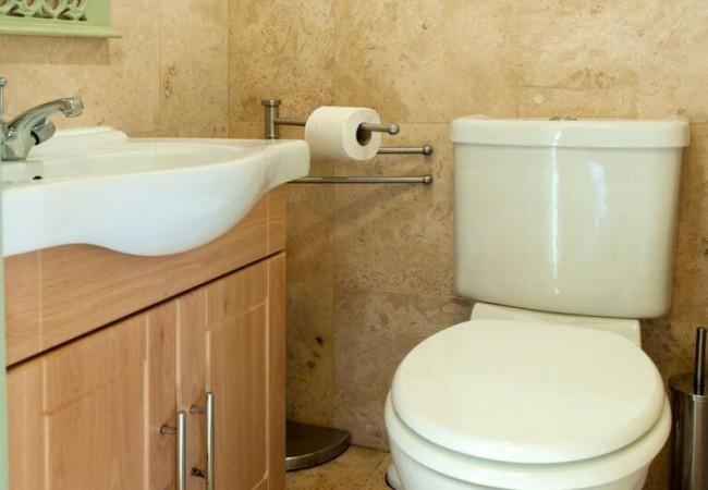 crows-hermitage-bathroom1