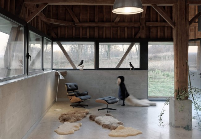 house_project_ambar10.jpg