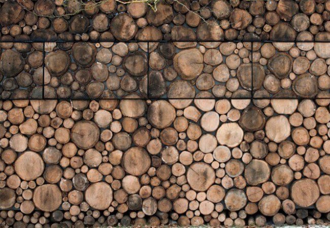 house_project_Tree-Trunk2.jpg