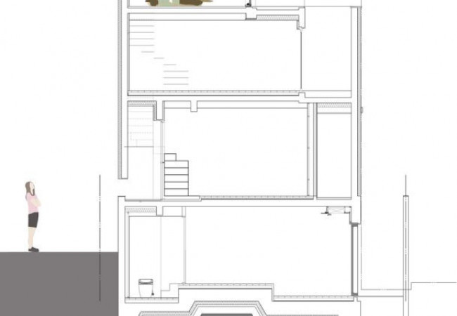 TSH-section
