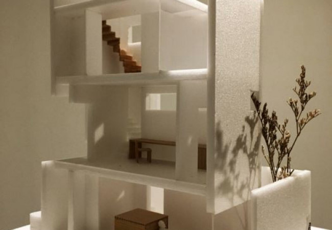 TSH-section_model