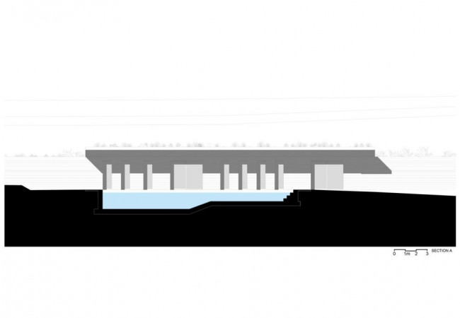SECTION_A