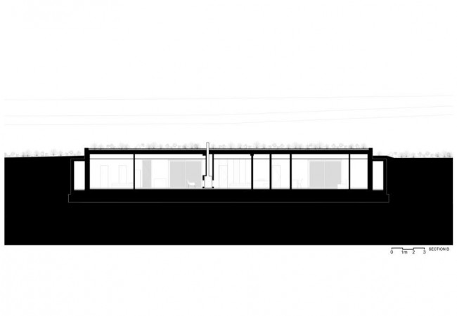SECTION_B