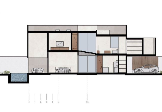 longitudinal_section