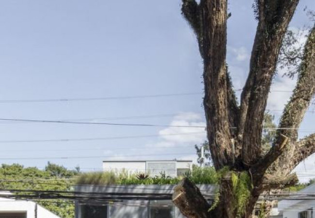 casa-b-ar-arquitetos-1