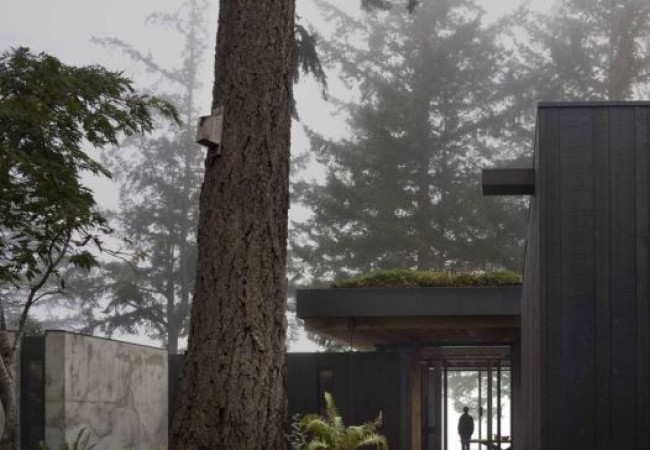longbranch-residence-mwworks_17