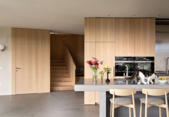 14-modusarchitects-hometown-house-c-marco-cappelletti-7