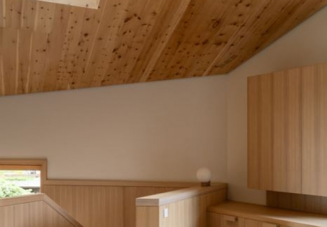 24-modusarchitects-hometown-house-c-marco-cappelletti-10