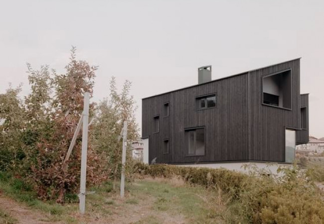 hometown-house-modusarchitects_3
